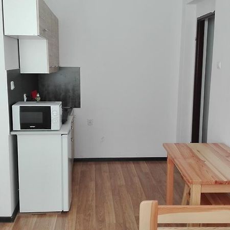 Pokoje Typu Studio Сосновец Екстериор снимка